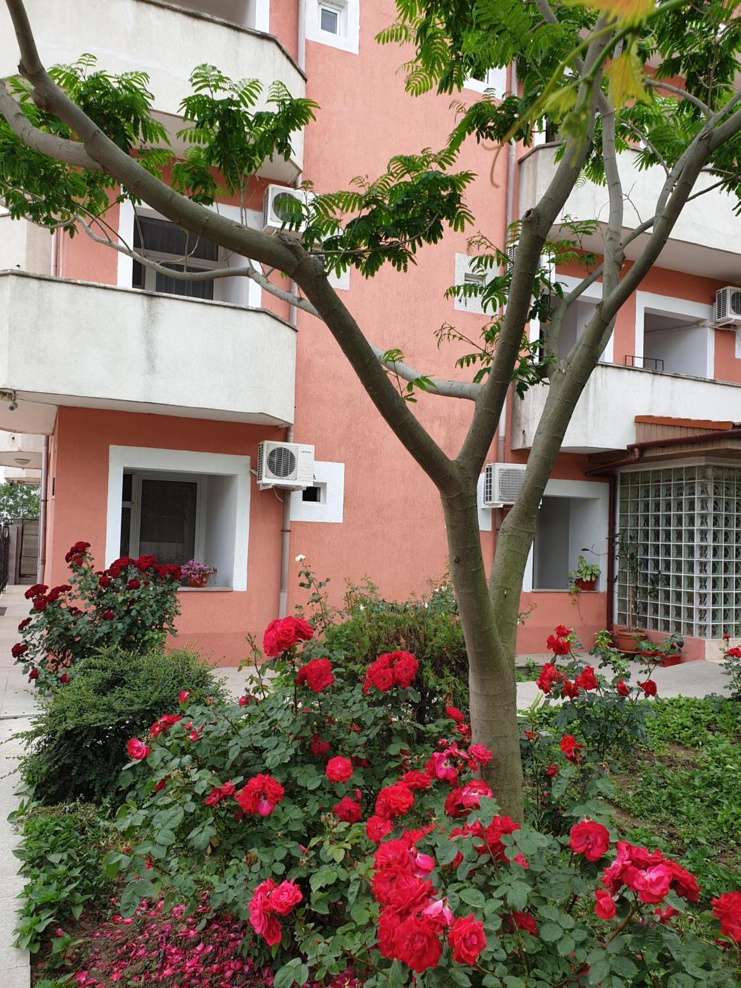 Hotel Laguna Eforie Nord Exterior photo